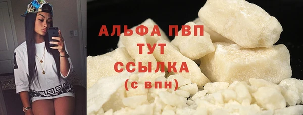 винт Ельня
