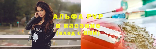 винт Ельня