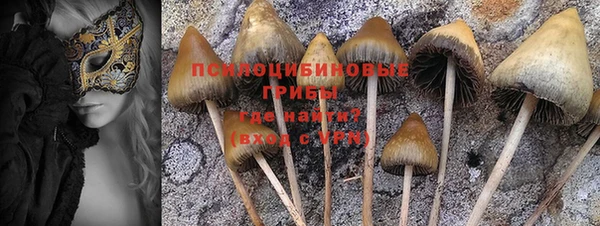 мдпв Елизово