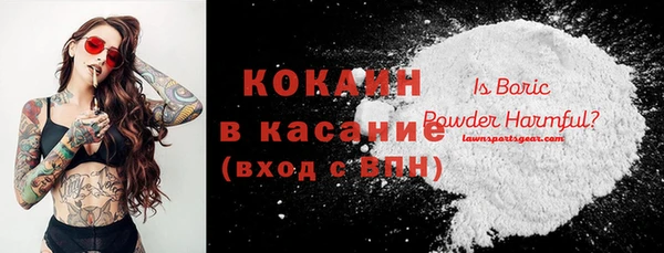 мдпв Елизово