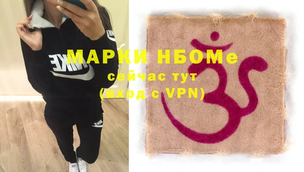винт Ельня