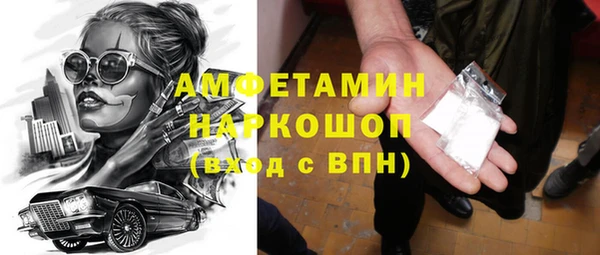 винт Ельня