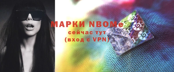 винт Ельня