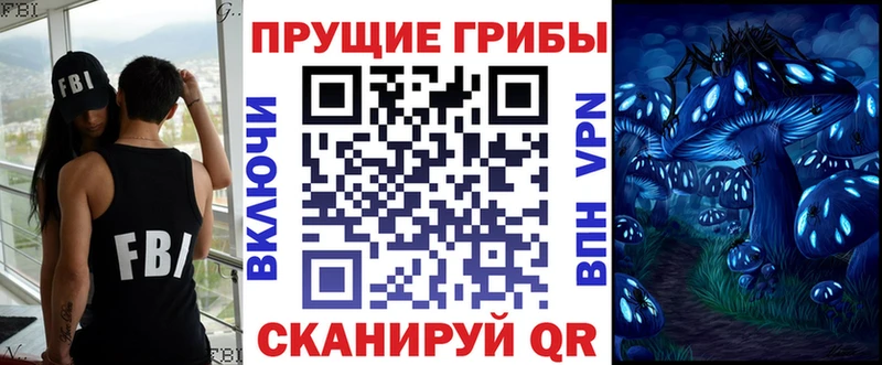 Галлюциногенные грибы Psilocybe  Купить закладки  Изобильный 